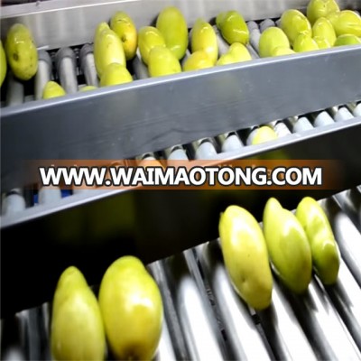 Complete mango juice processing machine